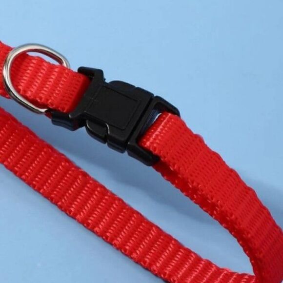 PET SCARF AND COLLAR  - Picture 6 of 12